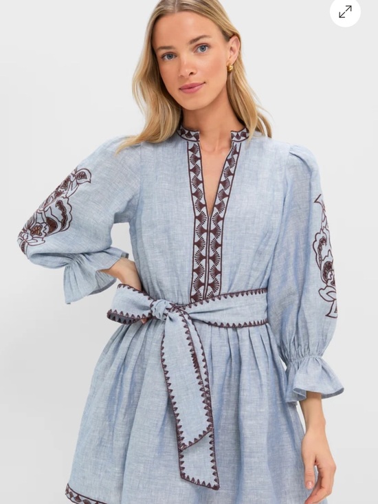 Hyacinth House Dresses & Skirts - chambray embroidered mini